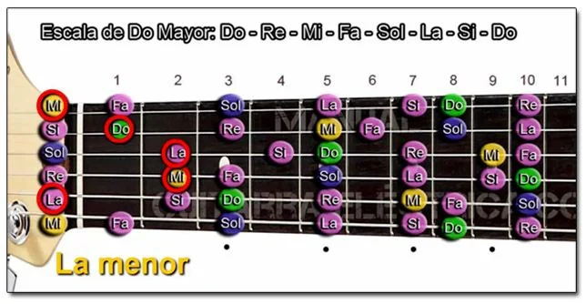 Acordes que pueden Formarse en la Tonalidad de Do (C) Mayor