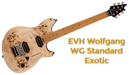 EVH Wolfgang WG Standard Exotic