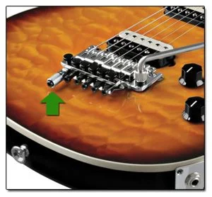Dispositivo para Puente Floyd Rose EVH D-Tuna