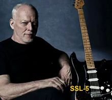 Pastilla SSL5 de la Guitarra de David Gilmour Black Strat