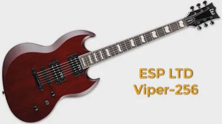 ESP LTD VIPER-256